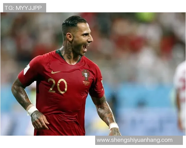 葡萄牙与伊朗精彩对决视频回顾及赛后分析
