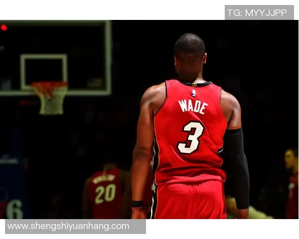 韦德领衔热火对决黄蜂季后赛精彩瞬间回顾与分析